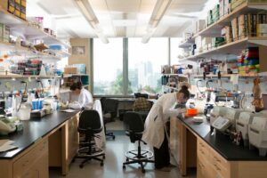 Two researchers work in a bright laboratory equipped with shelves, equipment, and workstations, conducting cancer cell