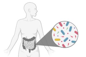 Illustration of a human torso with an enlarged circular detail showing colorful bacteria and microorganisms in the gut
