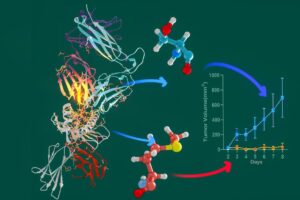 Illustration showing molecular structures of immune cells and cancer-fighting compounds with a graph displaying research
