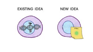 Diagram comparing two macrophage memory models: existing idea shows DNA strands inside a cell, new idea shows a sticky note