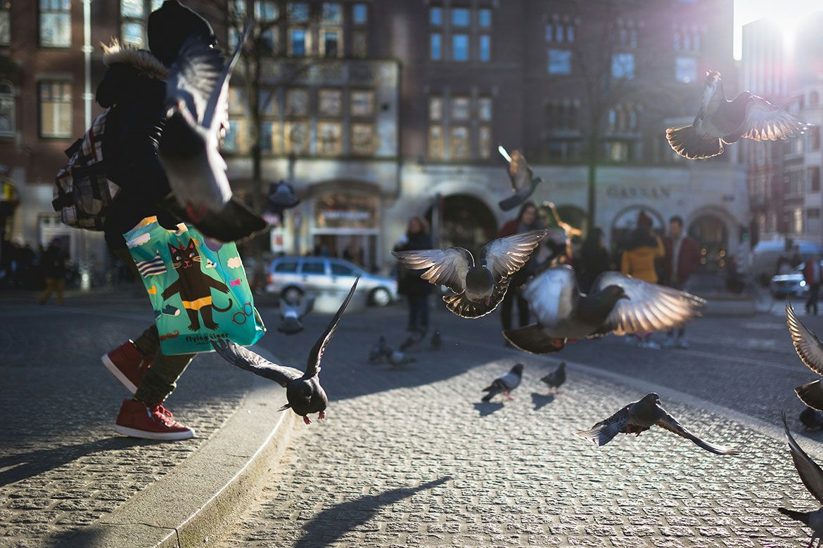 A person wearing red sneakers and carrying a colorful tote bag with a cat illustration runs through a sunlit cobblestone city square, scattering a flock of pigeons into flight. Several birds are captured mid-air with wings spread. (Credit: Itay Attias/UnSplash)