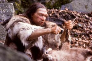 A lifelike museum reconstruction of a Neanderthal hunter crouching outdoors among rocks and fallen leaves, using a stone tool to process a small animal carcass. He wears animal fur and has long dark hair and a facial marking.