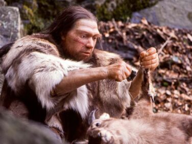 Neanderthals in Western Europe remained genetically healthy until extinction