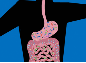 Graphic depicting the digestive tract filled with gut microbes