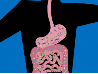 UCLA’s Microbiome Vaccine Program (MVP) aims to develop new treatments that keep cancer-promoting gut bacteria in check