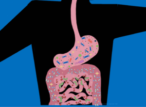 Graphic depicting the digestive tract filled with gut microbes