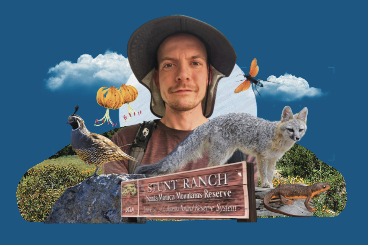 Collage featuring David Blake in a hat, wildlife, flowers and a sign reading “Stunt Ranch, Santa Monica Mountains Reserve.” [Credit: Trever Ducote/UCLA]