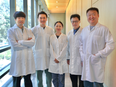 UCLA team engineers ‘triple-threat’ immune cells to fight plaque buildup behind heart attacks, strokes